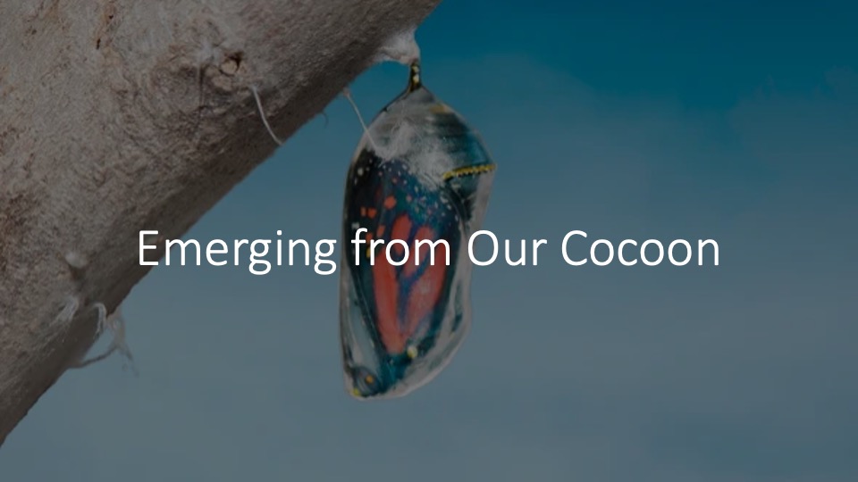 Emerging from Our Cocoon